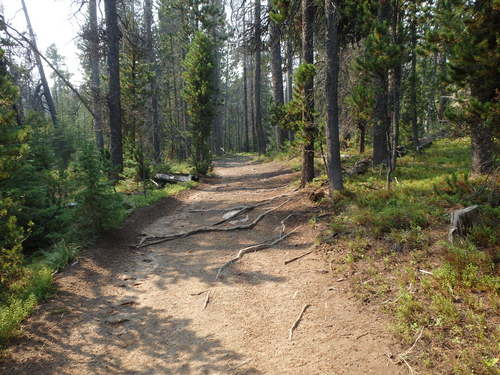 GDMBR: Challenging Bicycle Tour Trail.